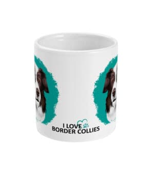 Mok Border Collie brown