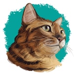 KEF Toyger Cat