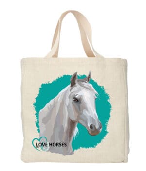 Shopper Arabian Horse