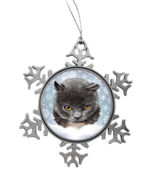 Kerst Sneeuwster British Shorthair Cat