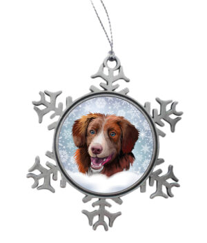 Kerst Sneeuwster Nova Scotia Duck Tolling Retriever